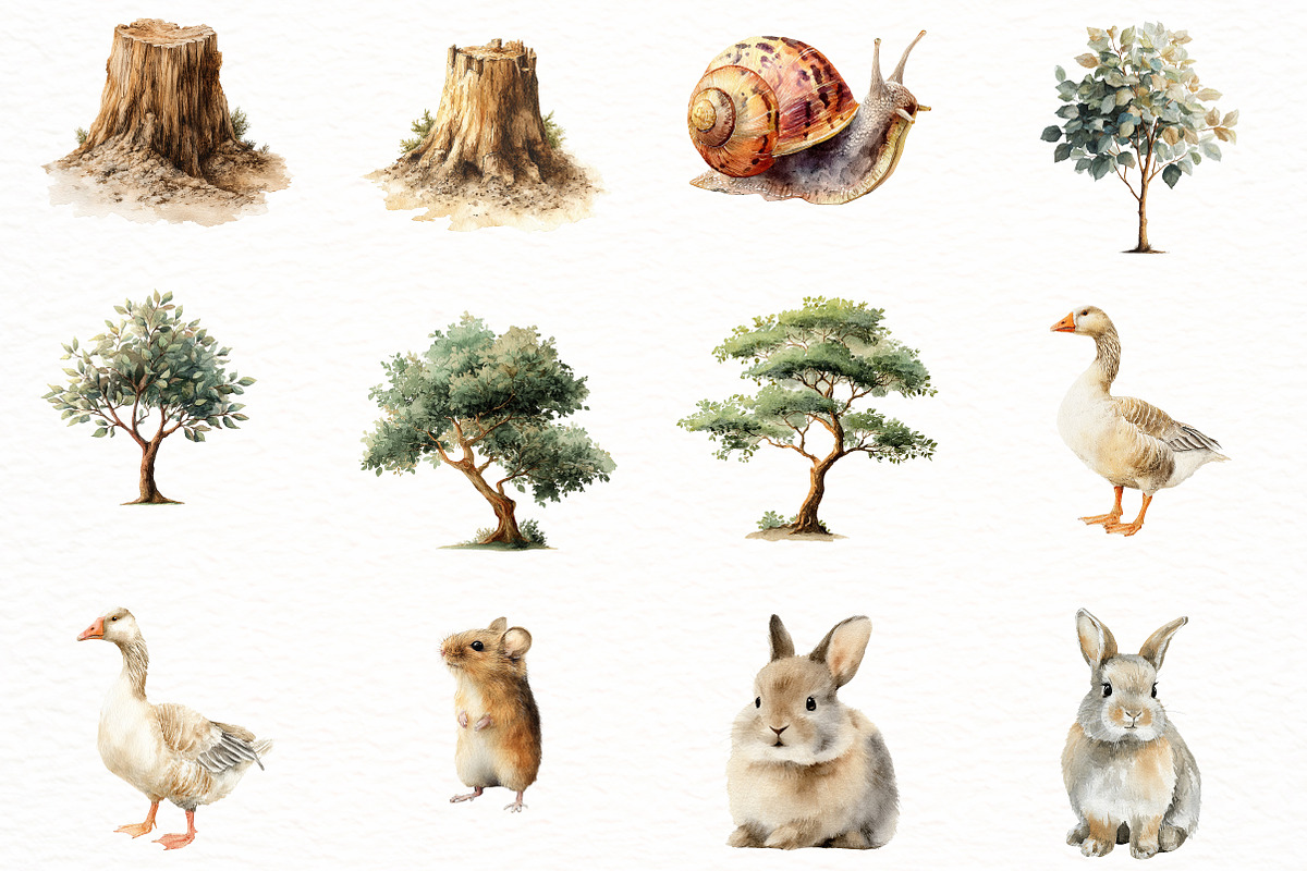 Watercolor woodland Clipart, an Illustration by Designworld (Photo 4 of 8)