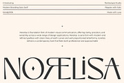 Norelisa Modern Branding Sans Font, a Serif Font by RantautypeStudio (Thumbnail 1 of 17)