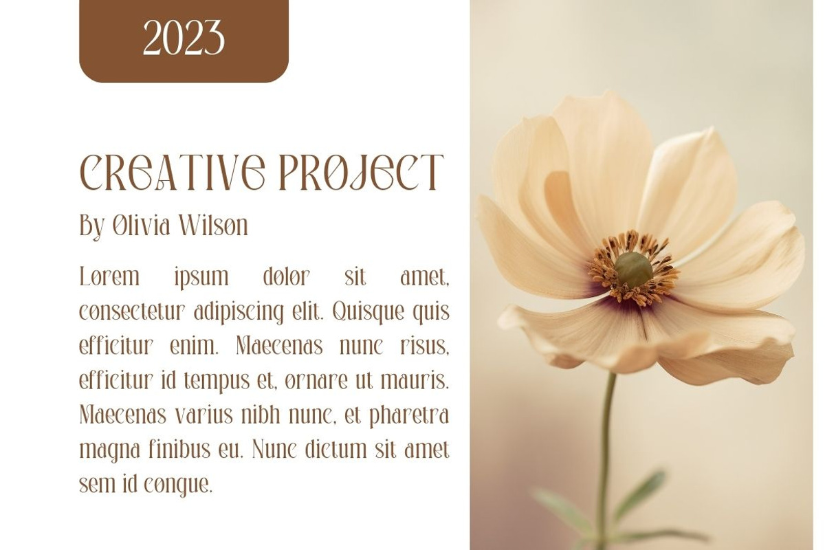 Holscher - Modern Serif Font, a Serif Font by Almeera Std (Photo 8 of 9)