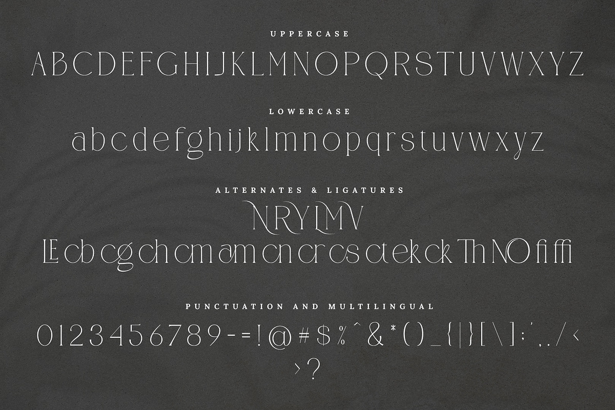 CANOVER | Ligature Serif, a Serif Font by ToniStudio (Photo 10 of 11)