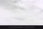 NorthEast - 4 serif fonts, a Serif Font by VP Fonts (Thumbnail 9 of 12)