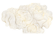 WIND Line Oriental Illustrations, a Pattern Graphic by Marylia (Thumbnail 12 of 30)