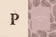 Botanical Elements for Logo Design, a Texture Illustration by amber&ink (Thumbnail 3 of 10)