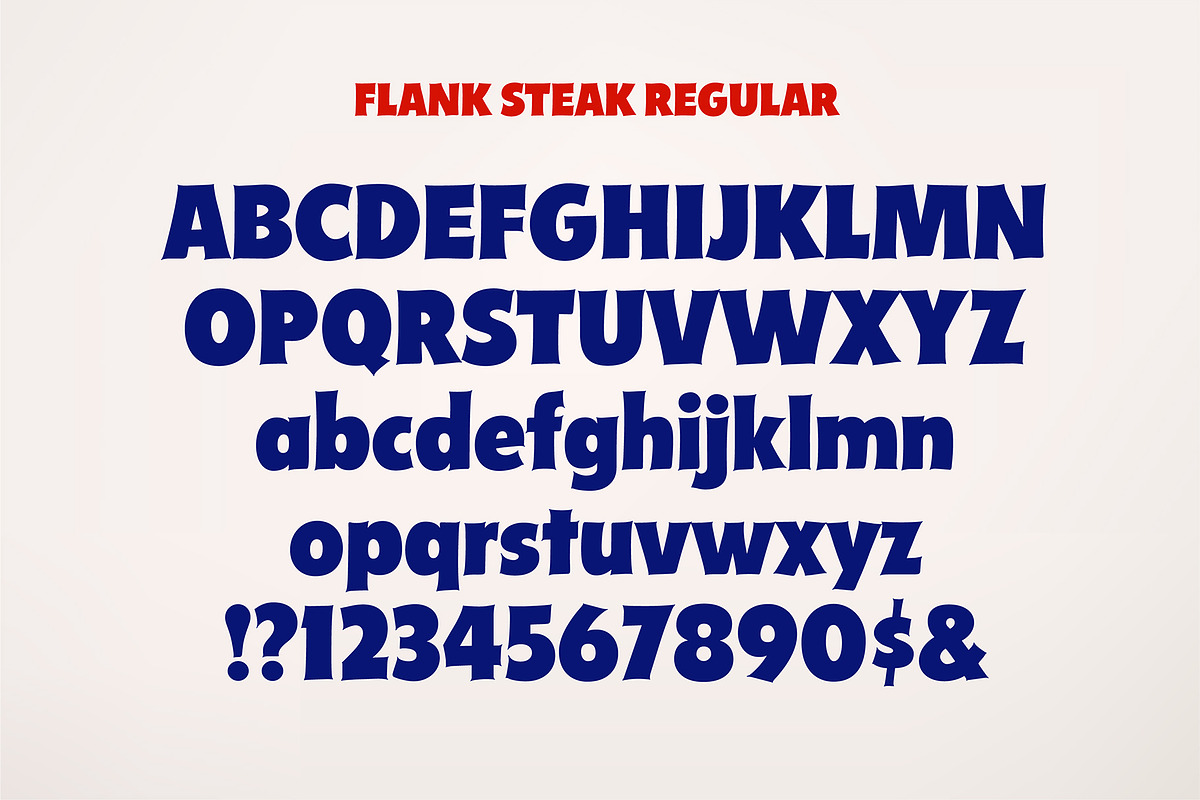Flank Steak Font Duo, a Sans Serif Font by Mysterylab Designs (Photo 5 of 10)