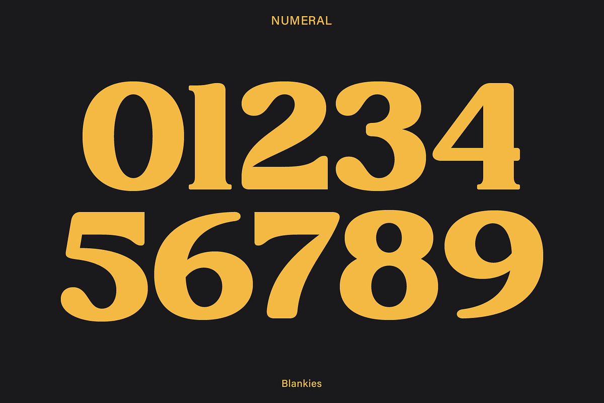 Blankies, a Serif Font by Zaloma Studio (Photo 13 of 15)