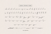 Aesallyn | Classic Signature Font, a Script Font by Denustudios (Thumbnail 12 of 13)