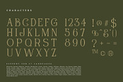 Timesky, a Serif Font by Nathatype (Thumbnail 7 of 11)