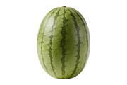 All Fruits Bundle Master Collection, a Food & Drink Photo by FlyeredTemplate (Thumbnail 96 of 130)