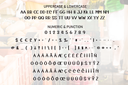 Rustic Market | Script Font, a Script Font by Scratchones (Thumbnail 7 of 8)