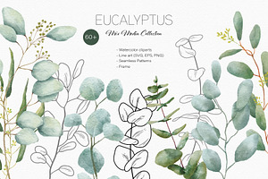 Eucalyptus Line Art And Watercolor