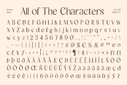Chiston Disco, a Serif Font by Craft Supply Co. (Thumbnail 8 of 8)