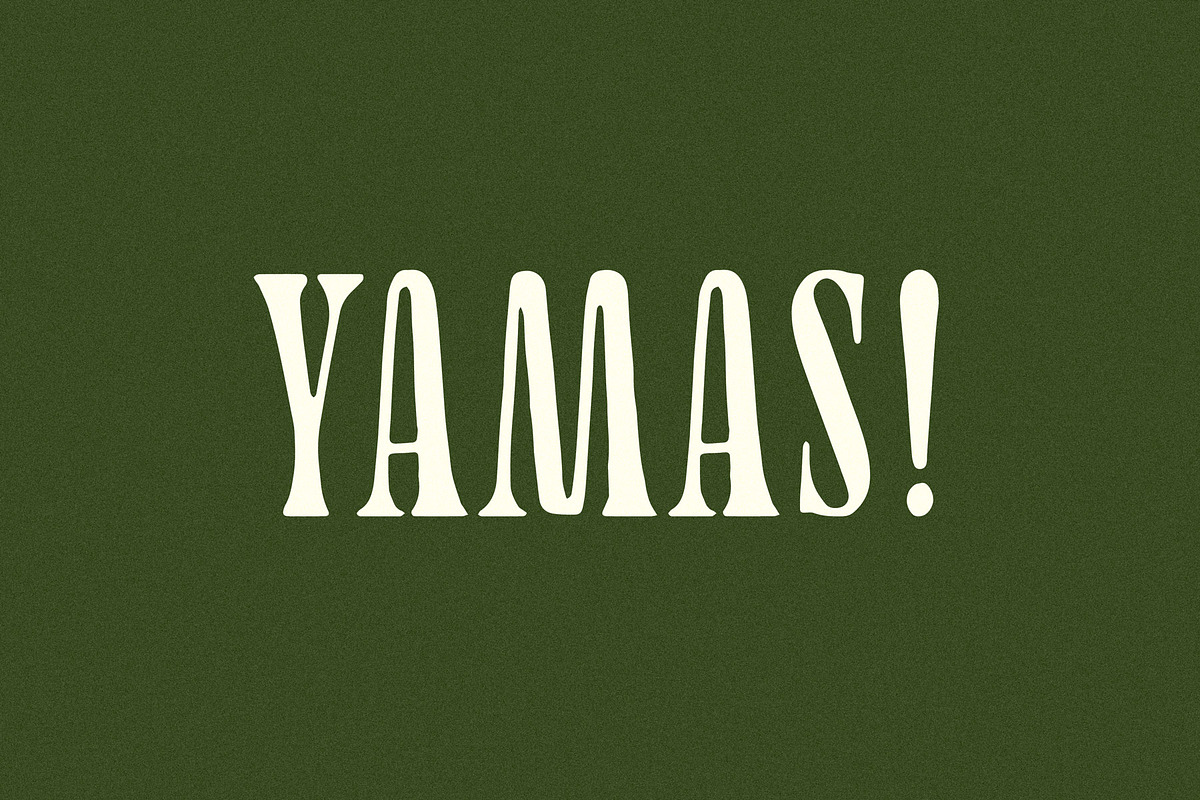 Yamas | A Soft Modern Serif Font, a Serif Font by Taylor Penton (Photo 2 of 6)