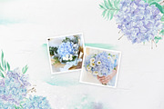 Watercolor hydrangea & eucalyptus, a Decorative Illustration by Re_Margarita_Art (Thumbnail 5 of 10)