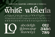 White Wisteria Fonts Family, a Serif Font by Asenbayu (Thumbnail 10 of 13)
