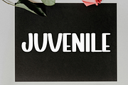 Championsip, a Script Font by FreshTypeINK (Thumbnail 5 of 8)