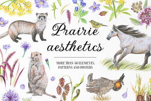 Prairie aesthetics. 52 items, an Animal Illustration by Art by Lady Natali