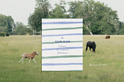 Hand-Painted Summer Backgrounds, a Background Graphic by Lana Elanor (Thumbnail 3 of 15)