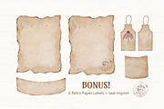 Echinacea watercolor clip art, an Illustration by ARTerria (Thumbnail 8 of 9)