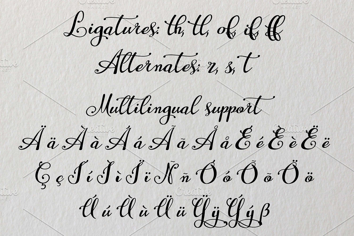 Mastyr, a Script Font by Digital Typeface Studio (Photo 3 of 6)