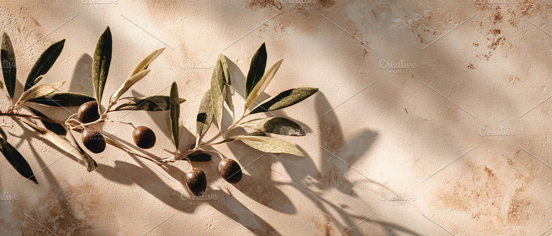 Fresh olive branch with ripe olives on a textured, sunlit wall., an Animal Photo by Ales Munt