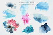 Undersea Life Watercolor, an Animal Illustration by Kolorata Art (Thumbnail 12 of 14)
