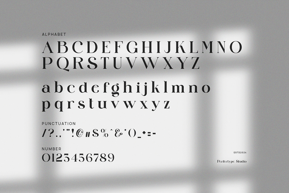 Cligne Elegant Serif Font, a Serif Font by Perfectype (Photo 7 of 8)