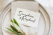Aurora Magnollia Font Duo, a Serif Font by Storytype Studio (Thumbnail 6 of 15)