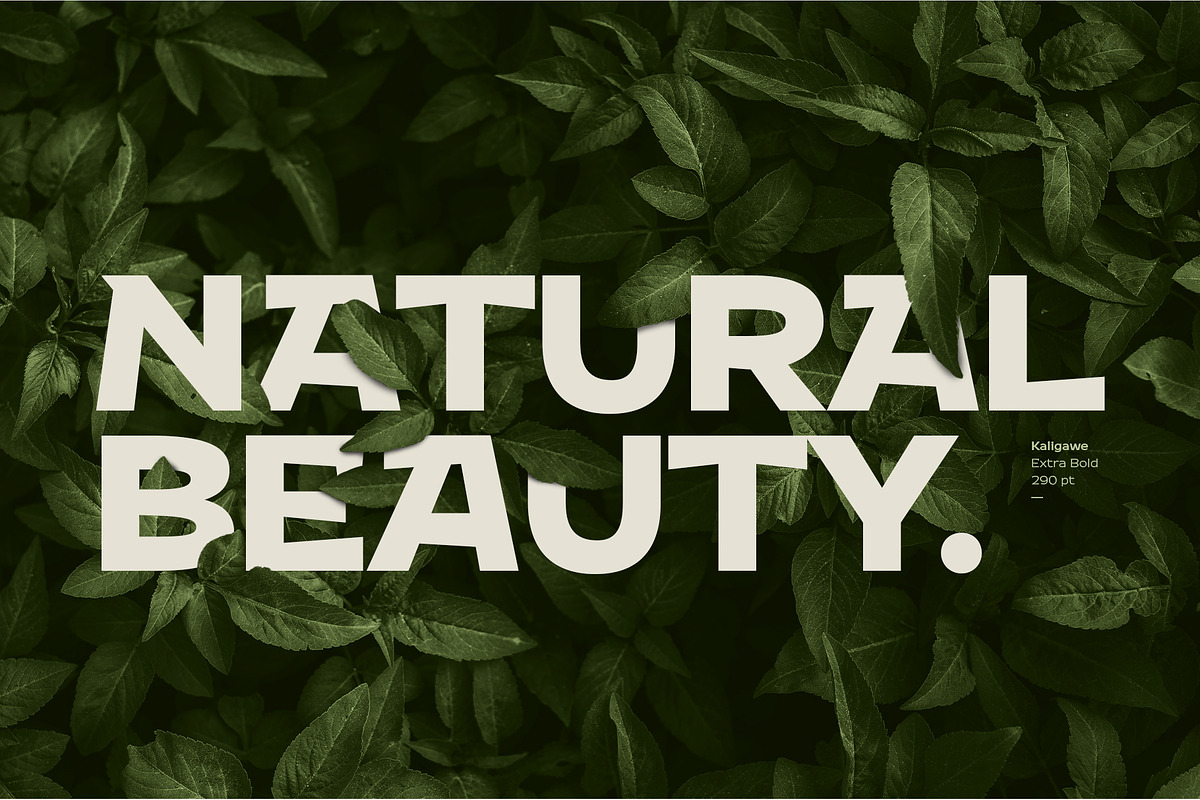 Kaligawe, a Sans Serif Font by Locomotype (Photo 10 of 12)