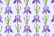 Watercolor iris flowers kit, a Texture Illustration by Sundra (Thumbnail 5 of 9)
