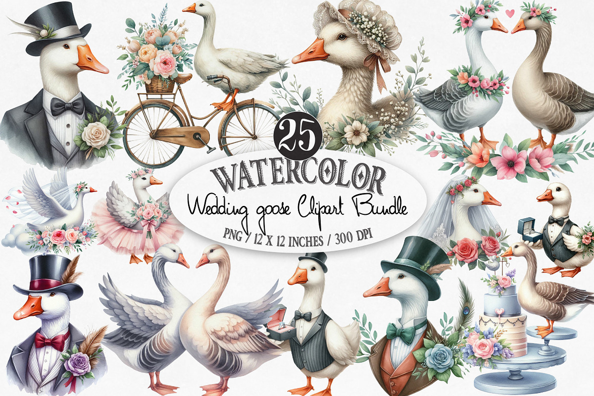 Wedding Goose Clipart, an Illustration by Designking (Photo 1 of 4)