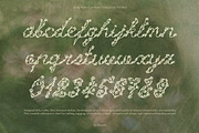 Hedge Rose Decorative Floral Script, a Script Font by AnMark (Thumbnail 9 of 10)