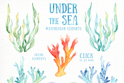 Under the Sea Watercolor Cliparts, an Animal Illustration by everysunsun (Thumbnail 3 of 6)