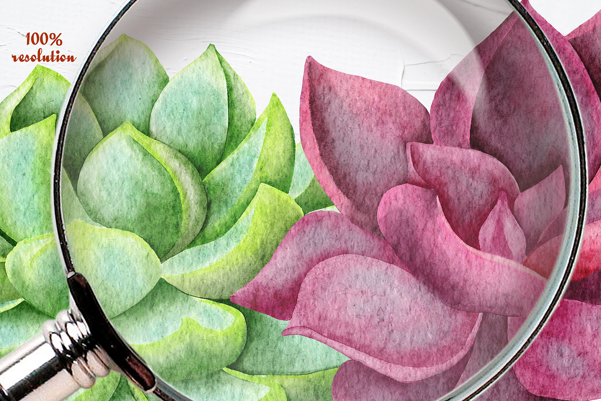 Succulents Watercolor clipart, an Illustration by BarvArt (Photo 13 of 13)