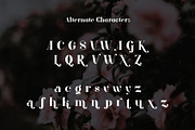 ARK Reunio - Modern Serif Font, a Serif Font by Arkara (Thumbnail 10 of 11)