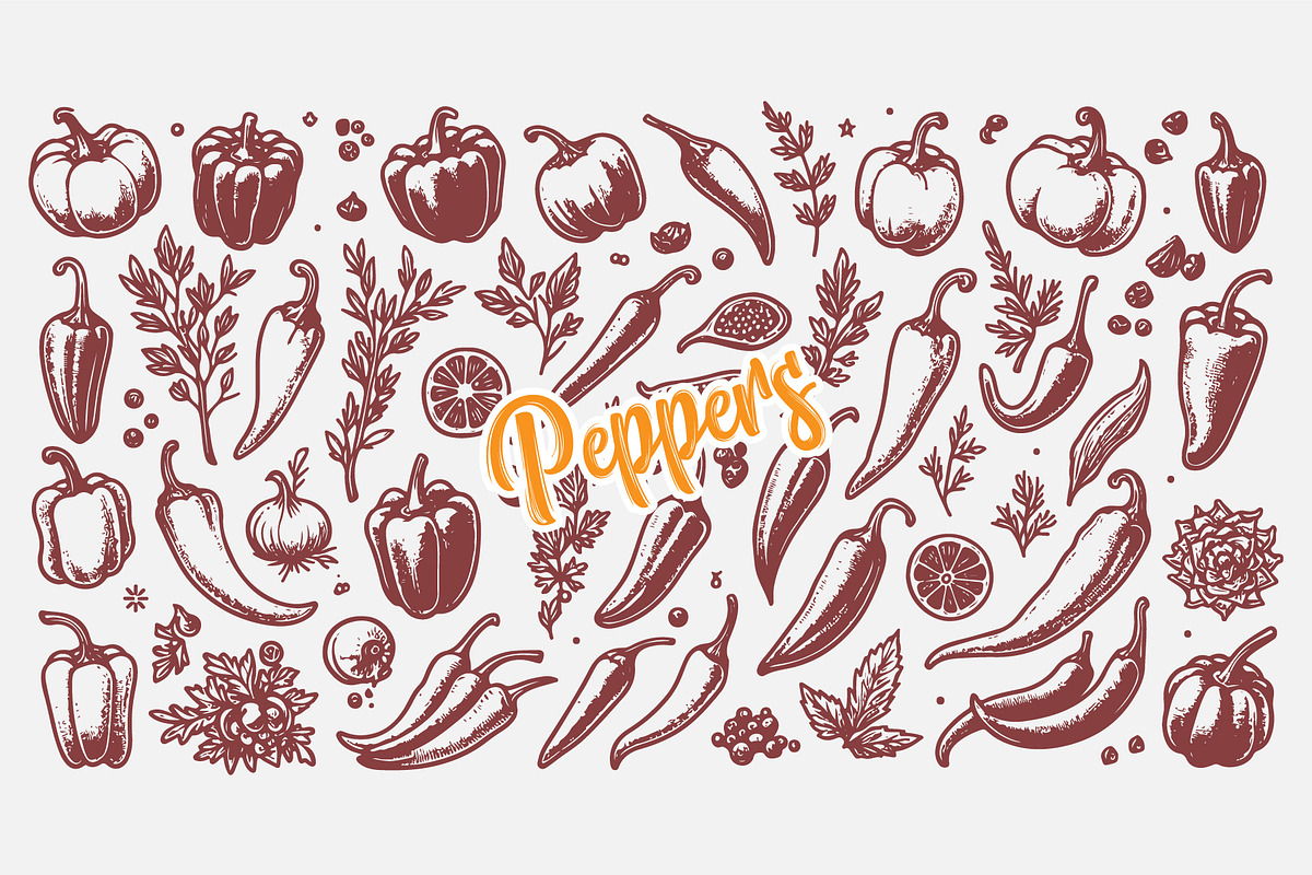 Hand Drawn Peppers and Herbs Coll, a Food Illustration by MkStudio (Photo 2 of 3)