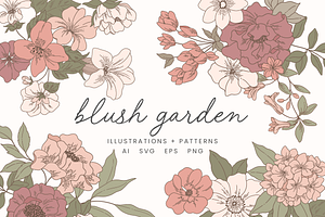 Blush Floral Vector Illustrations