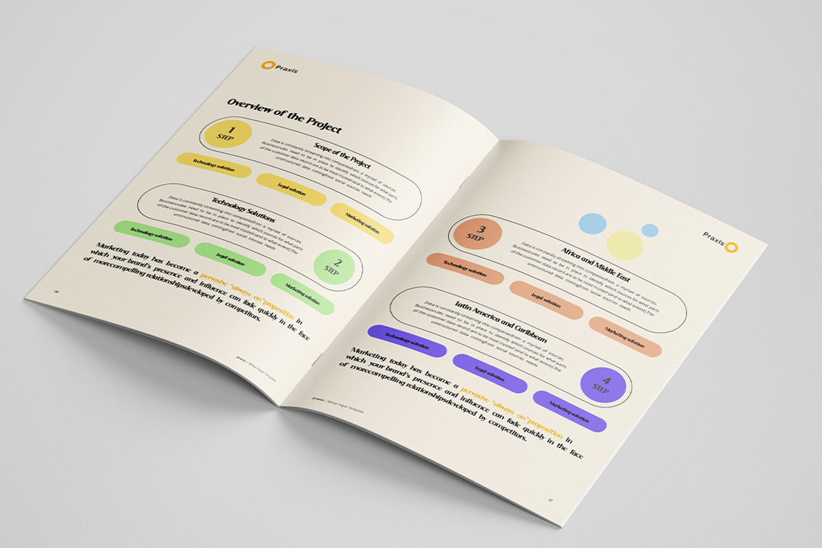 White Paper Template, a Brochure Template by azadcsstune (Photo 10 of 10)