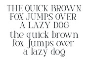 Prista an elegant serif font, a Sans Serif Font by Honestype (Thumbnail 6 of 10)