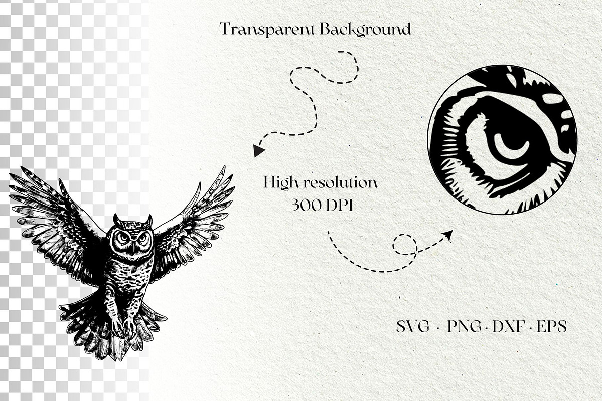 Owl svg bundle. Owl and moon, an Animal Illustration by DENIDigitalArtSudio (Photo 6 of 6)