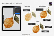 Watercolor Brushes for Procreate, a Brush Add-On by Jenny Quince (Thumbnail 6 of 10)