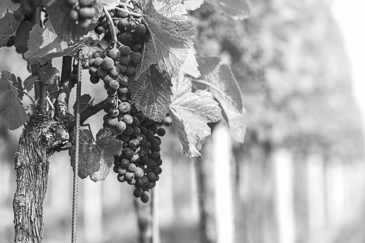10 Black & White Landscape Drama, a Preset Add-On by Timeless Presets (Photo 10 of 11)