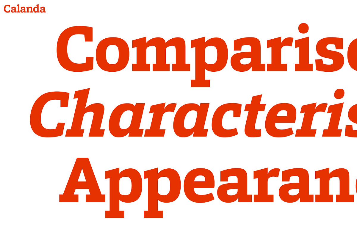 Calanda, a Slab Serif Font by Hoftype (Photo 10 of 26)