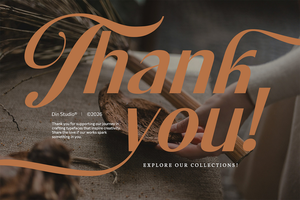 Bellavine, a Serif Font by din-studio.com (Photo 11 of 11)