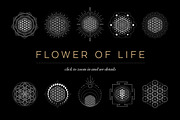 Flower of Life Vector Logo Bundle, an Illustration by S K Y B O X (Thumbnail 2 of 10)
