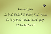 Smiling Moon - Modern script font, a Script Font by Attractype (Thumbnail 6 of 9)