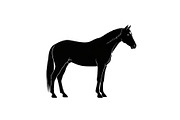 Black Horse Silhouette Bundle, an Illustration by jahid234 (Thumbnail 15 of 31)