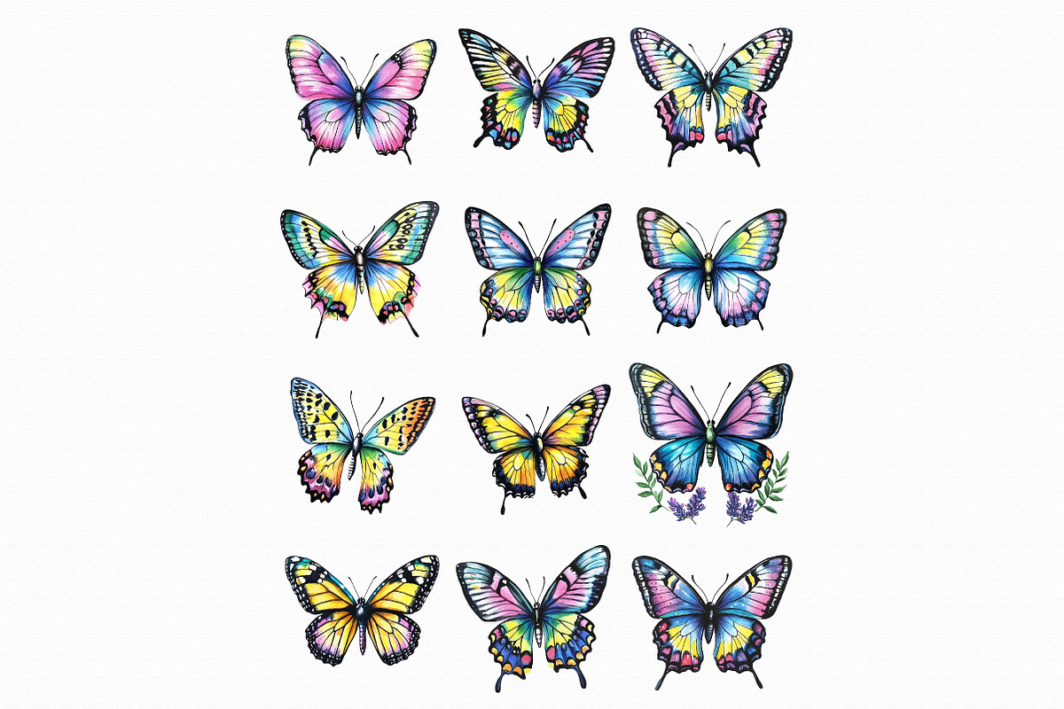 Watercolor Butterflies Clipart, an Illustration by Libby Wishes (Photo 2 of 5)