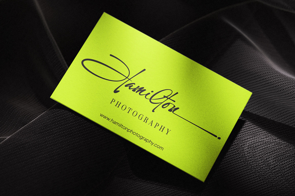 Nedalin | Signature Font, a Script Font by Lemonthe (Photo 6 of 9)
