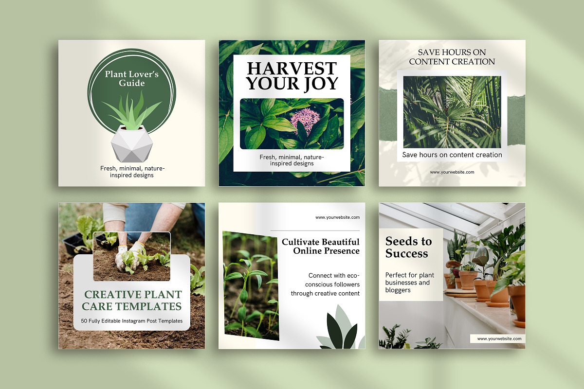 Gardening Instagram Canva Post Temp, a Social Media Template by Snapybiz (Photo 10 of 10)