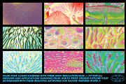 Fungi Textures, a Texture Graphic by Kapoor Design Empire (Thumbnail 2 of 8)